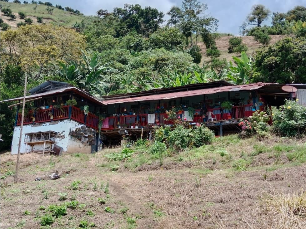 Se vende Finca en Viterbo Caldas - 1