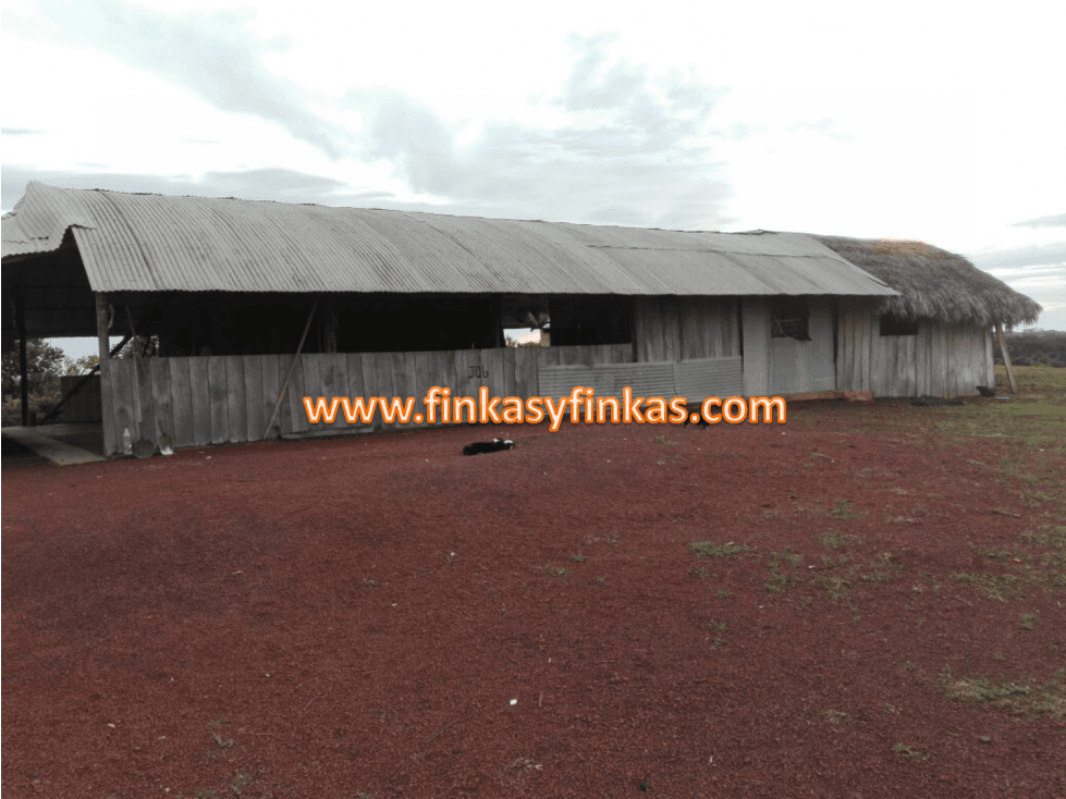 Se vende Finca en el Meta - 1