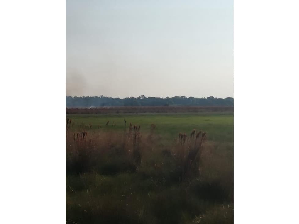 Se vende Finca Casanare - Orocué - 1