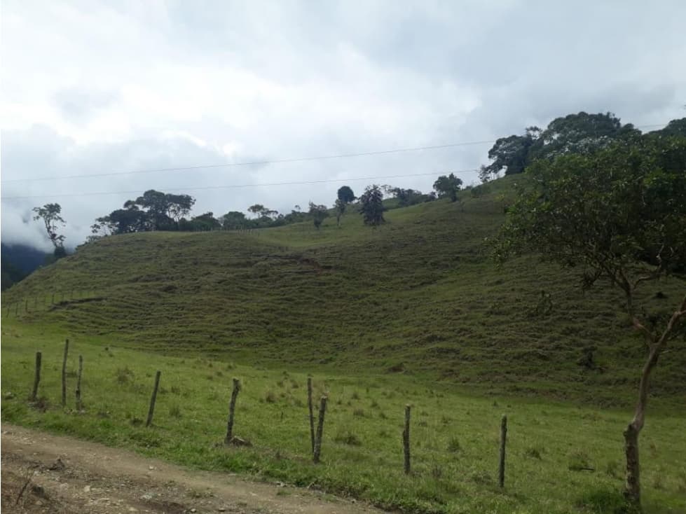 Se Vende Finca Sector Pueblo Rico - Risaralda - 1