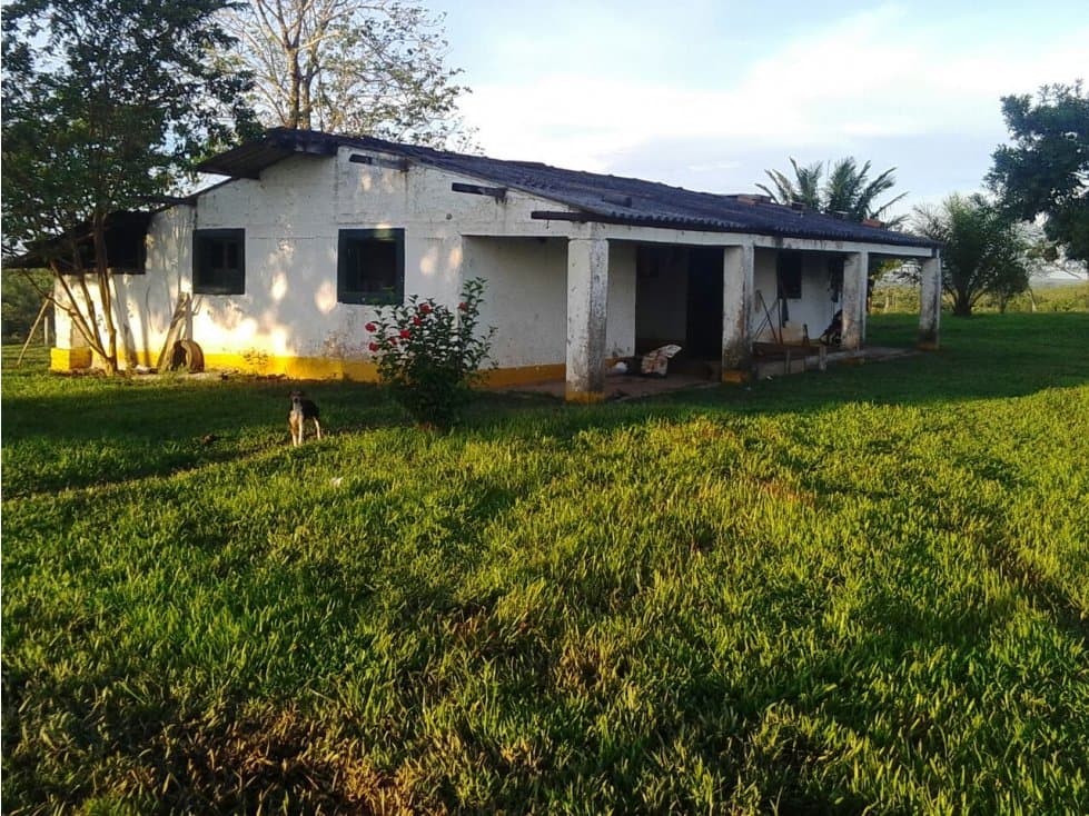 Se vende Finca Puerto Lleras Meta - 1