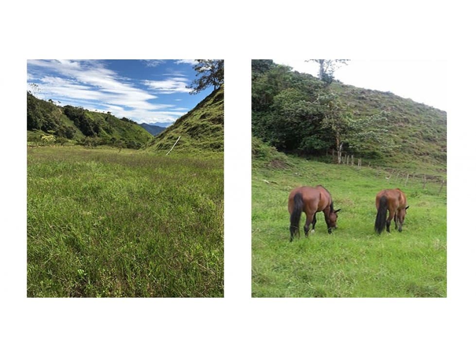 Finca Pueblo Rico Risaralda - 1