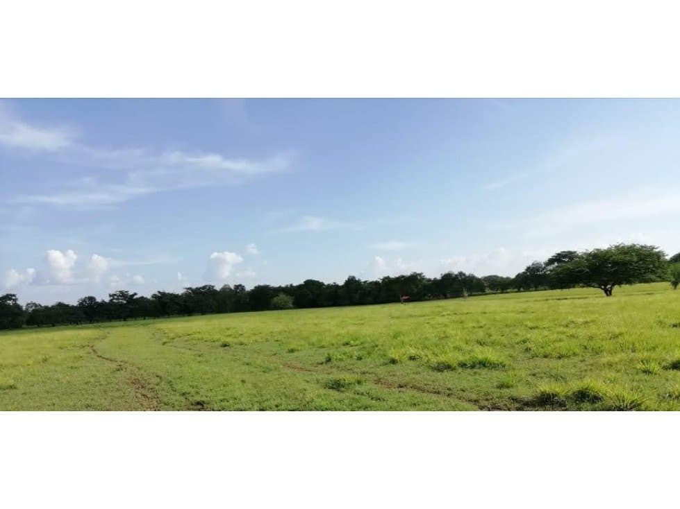 Se Vende Finca En Momil Córdoba - 1