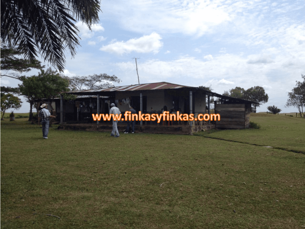 Se vende Finca en el Meta - 1