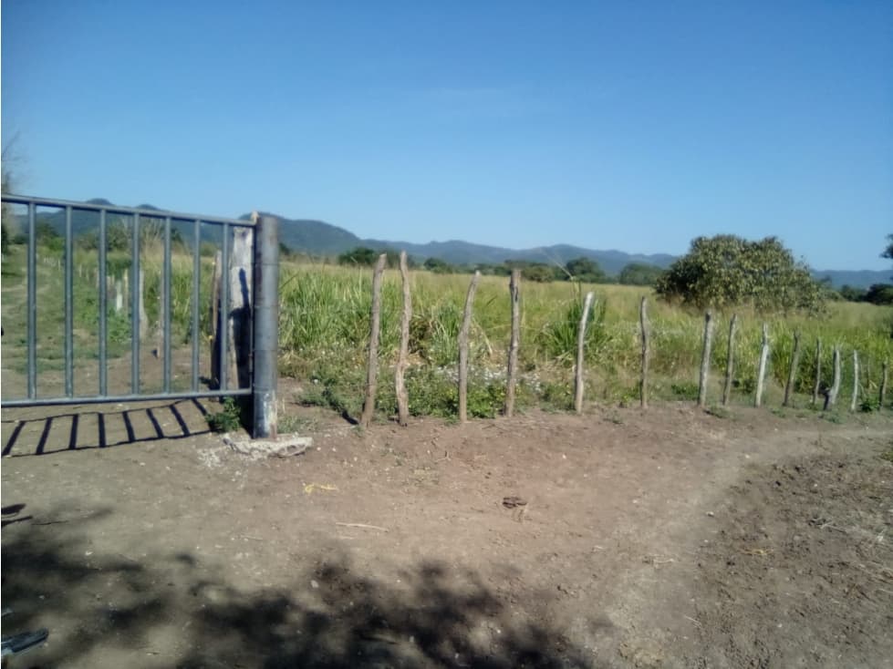 Finca en venta en el Totumo - 1