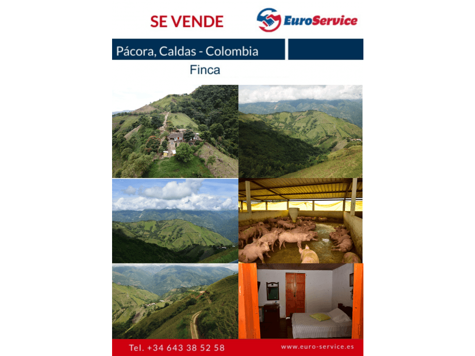 Se Vende Finca en San Bartolomé, Corregimiento de Pácora Caldas - 1