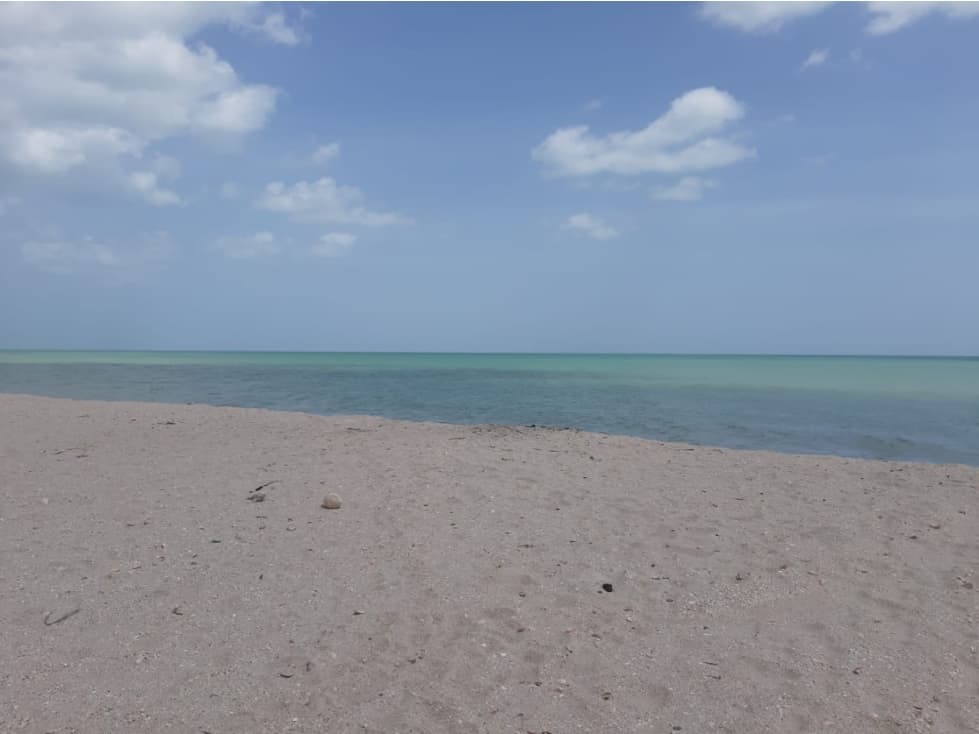 SE VENDE Lote en Zona Mayapo, la Guajira- Colombia. - 1