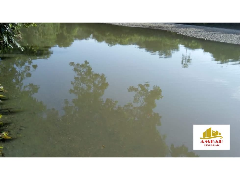 FINCA GANADERA  75 HECTAREAS - 1