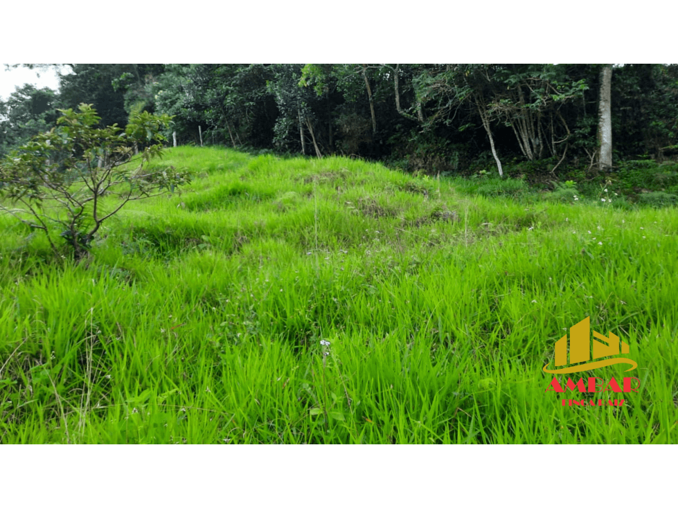 Finca 3 Hectáreas - 1