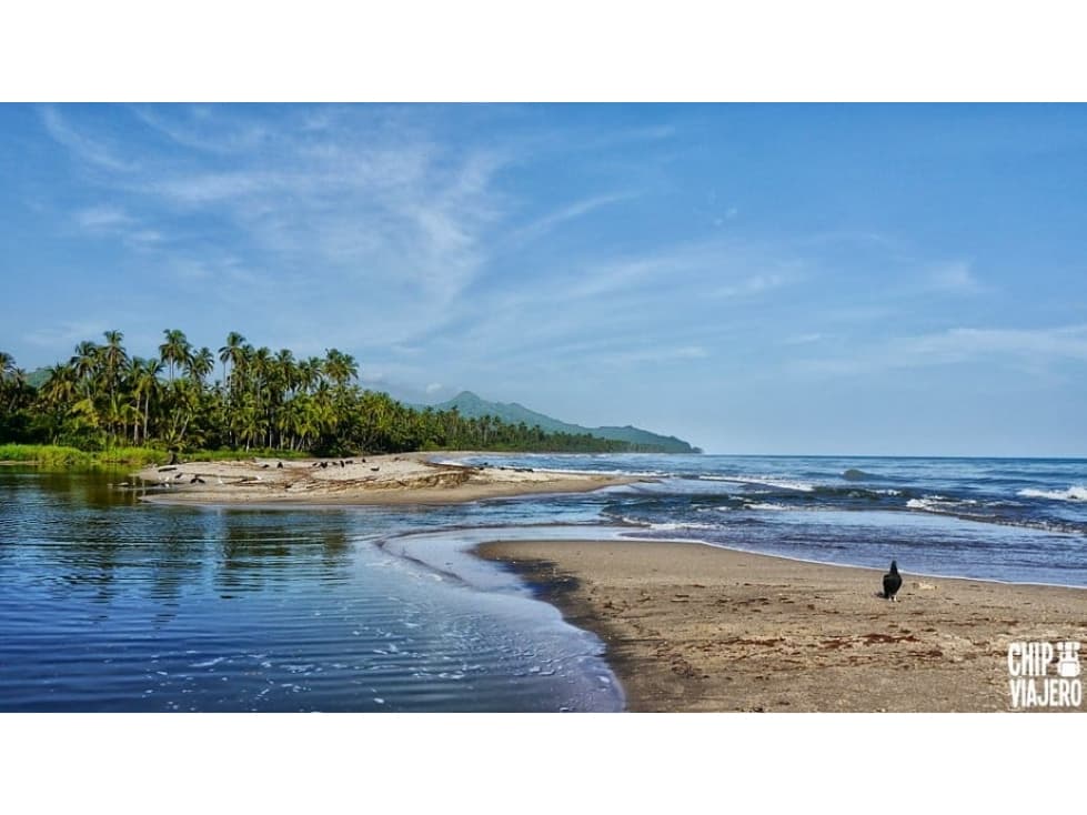 LOTES en el paradisiaco corregimiento de Palomino (Guajira) - 1