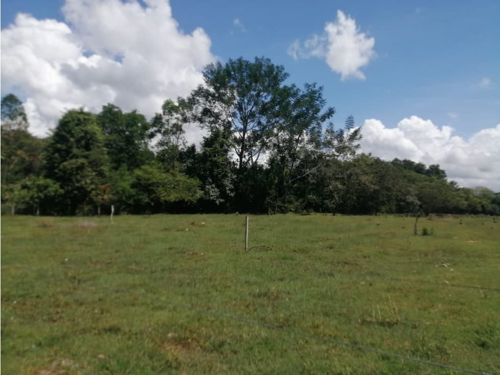 FINCA PRODUCTIVA EN AGUACHICA - 1