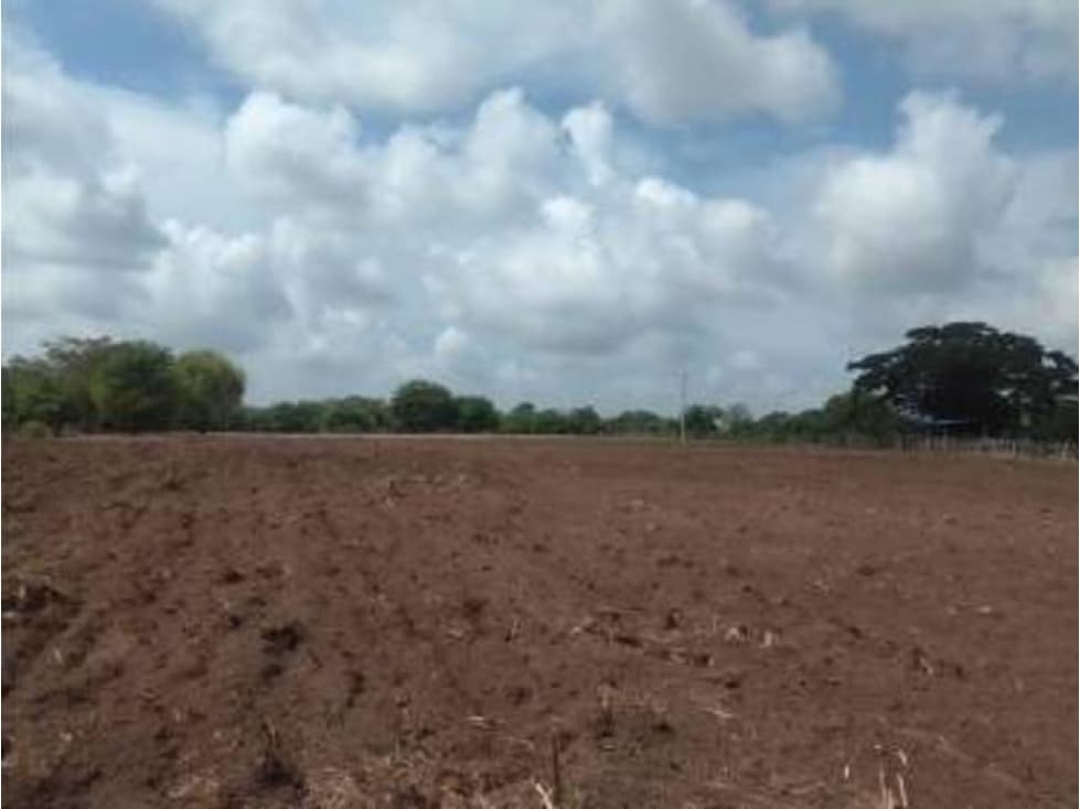 Venta de lote en polo nuevo - 1