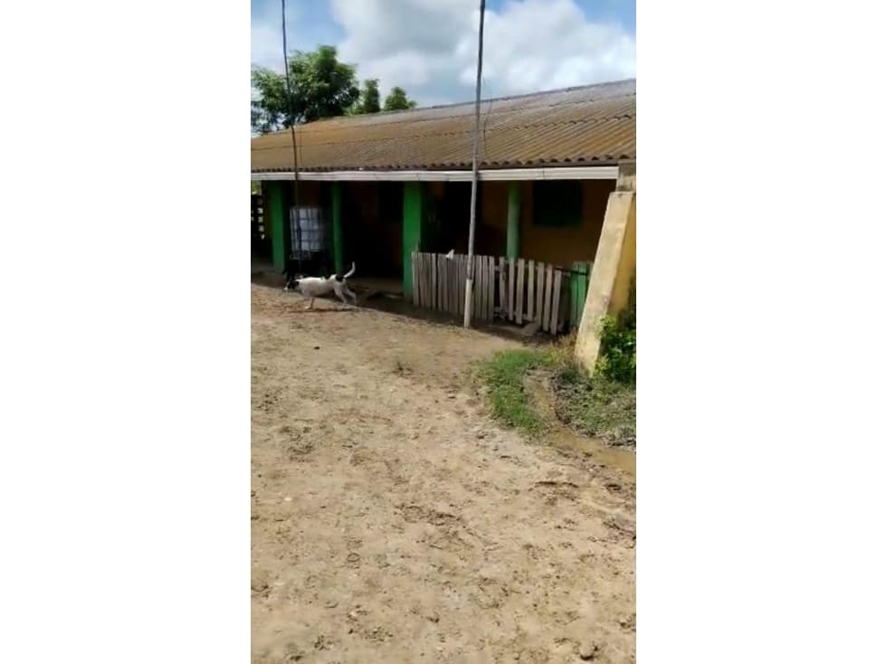 VENDO HERMOSA FINCA EN MONTERRUBIO MAGDALENA - 1