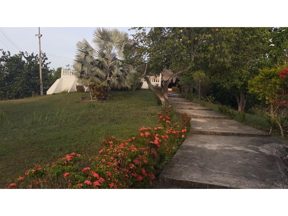 VENTA FINCA EN CARTAGENA CARRETERA A LA CORDIALIDAD - 1