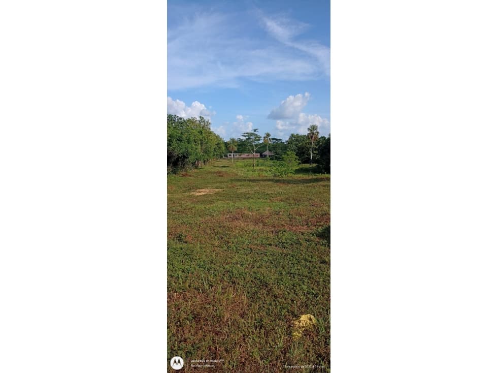 VENDO FINCA VIA TIERRALTA CORDOBA - 1