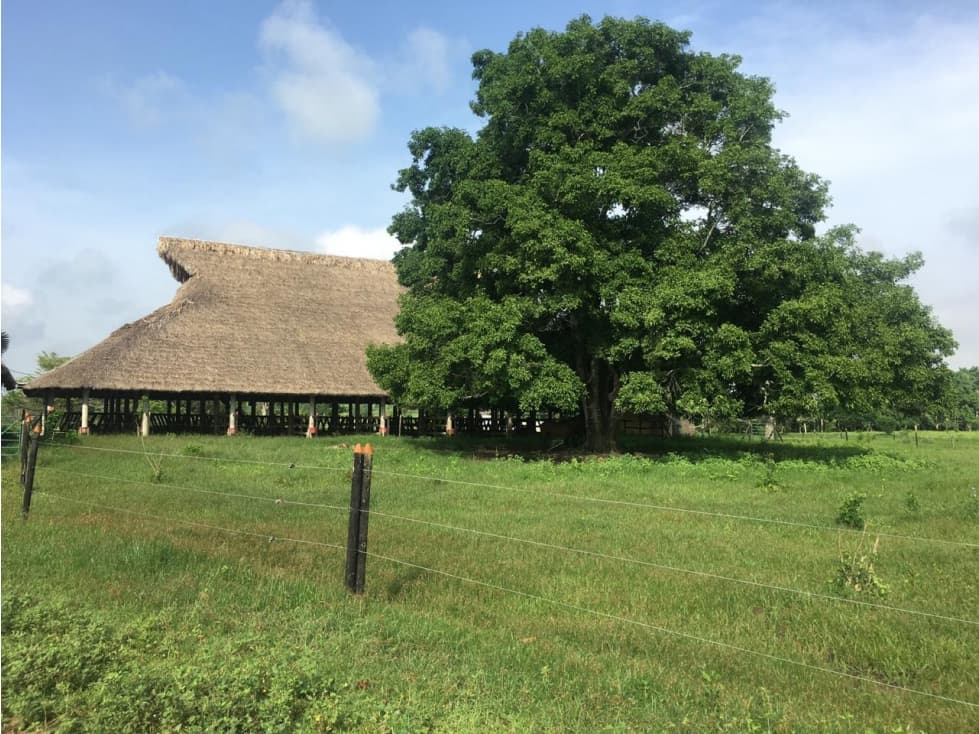 FINCA EN VENTA A LA ORILLA DE LA CARRETERA DE TOLU VIEJO - 1