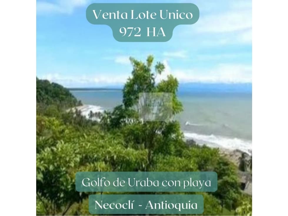 Venta Lote Golfo de Urabá  Hermoso Ecosistema con Playa en  Necocli - 1
