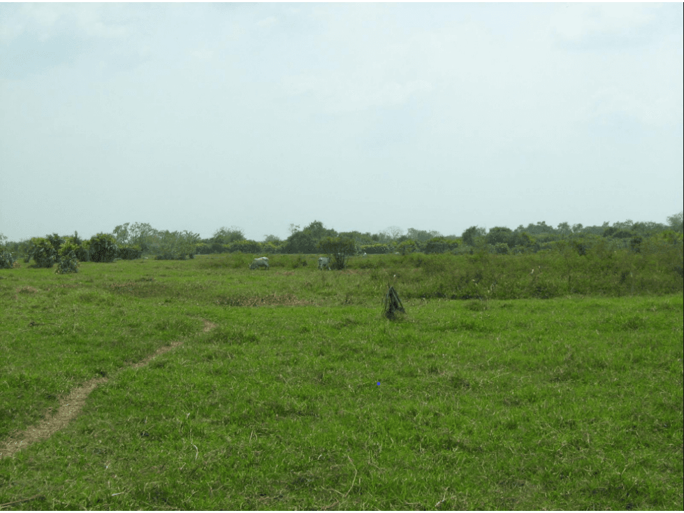 ??Finca de 1.700 Has. en venta a 5 millones la Ha. ?? Achi - Bolivar - 1