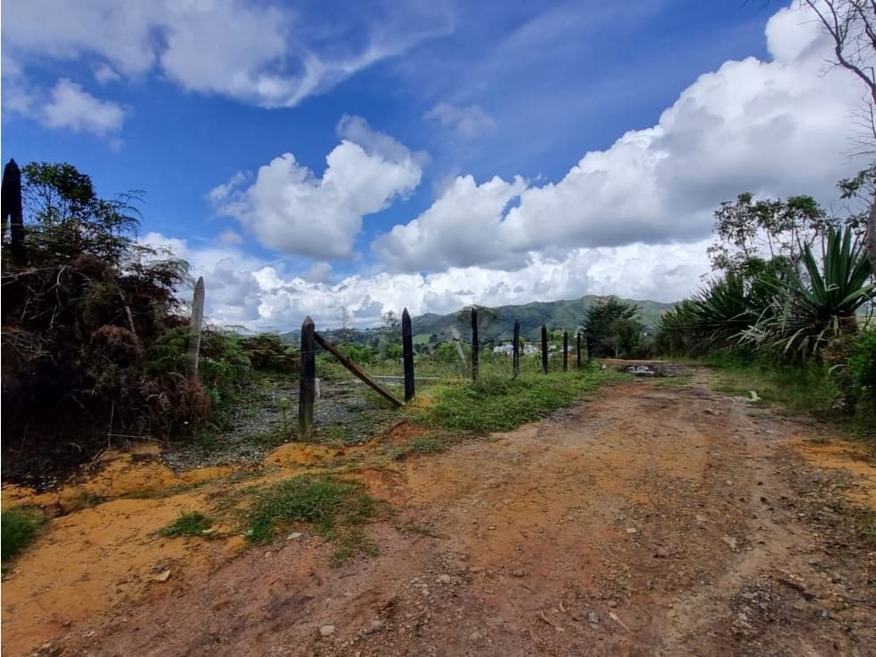 Venta Lote en Guarne, sector la Enea - 1