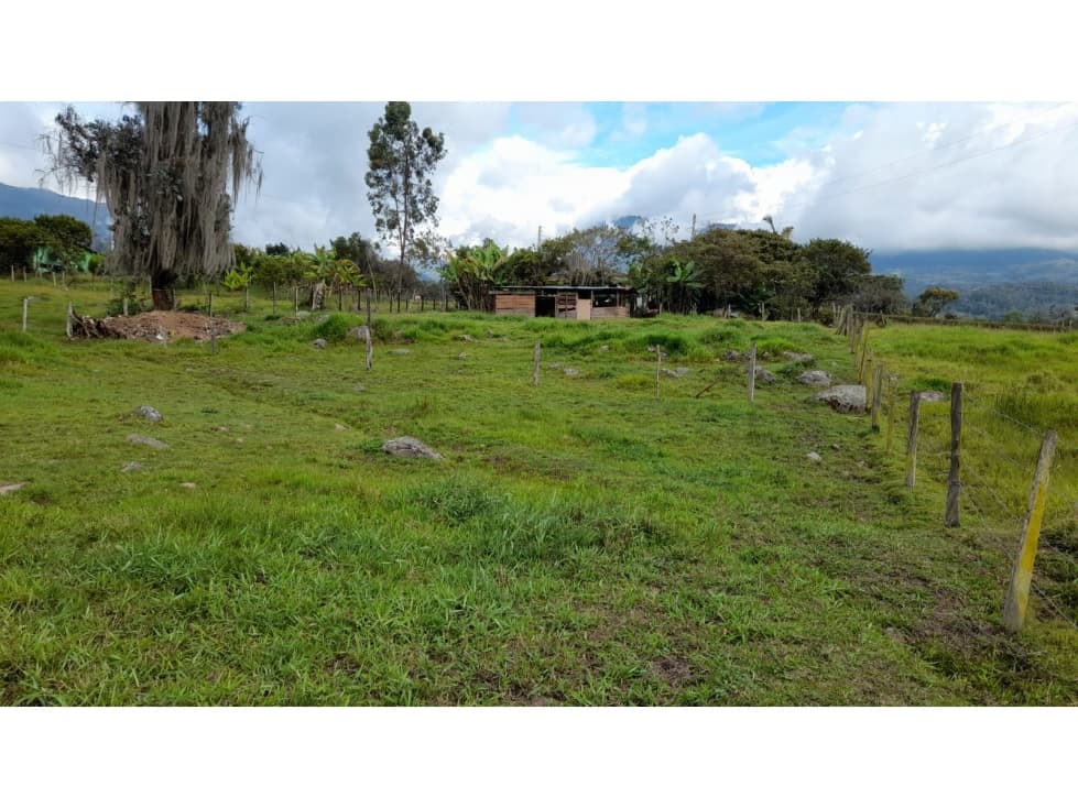 Venta Casa lote de 3.200m2  vereda Llano la hacienda Pacho - 1