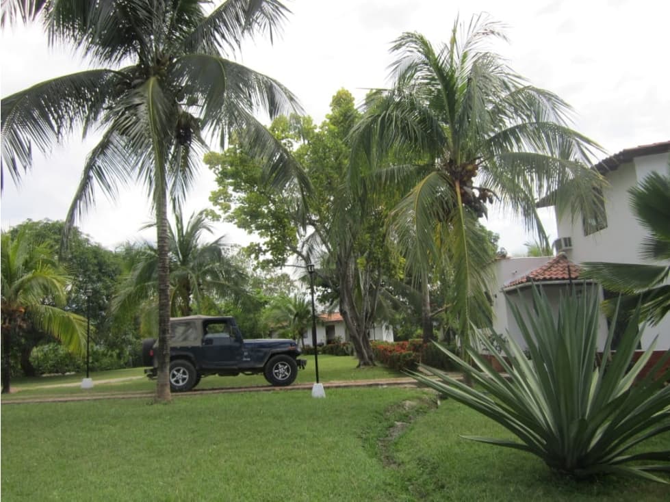 Vendo hermosa finca de recreo en Carmen de Apicalá - 1