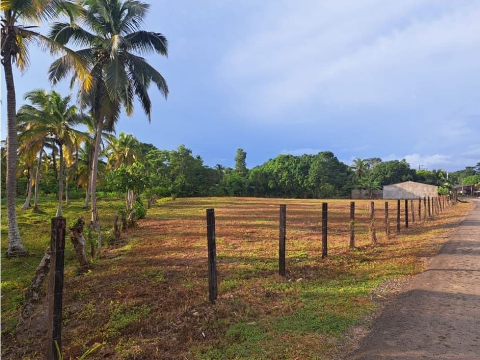 SE VENDE LOTE EN NECOCLI - 1