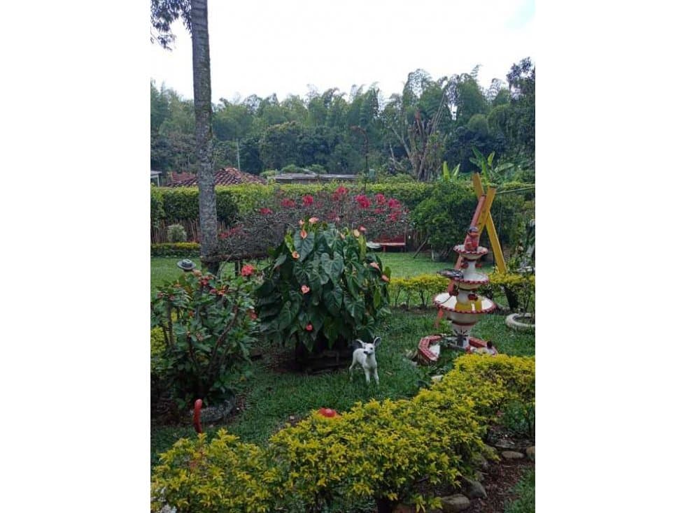 Vendo casa campo en sanrander de quilinchao vereda la capilla - 1