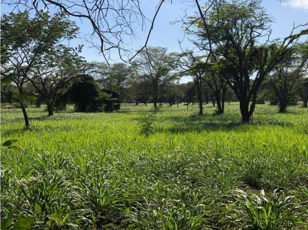 Venta Finca Villanueva - Guajira - 1