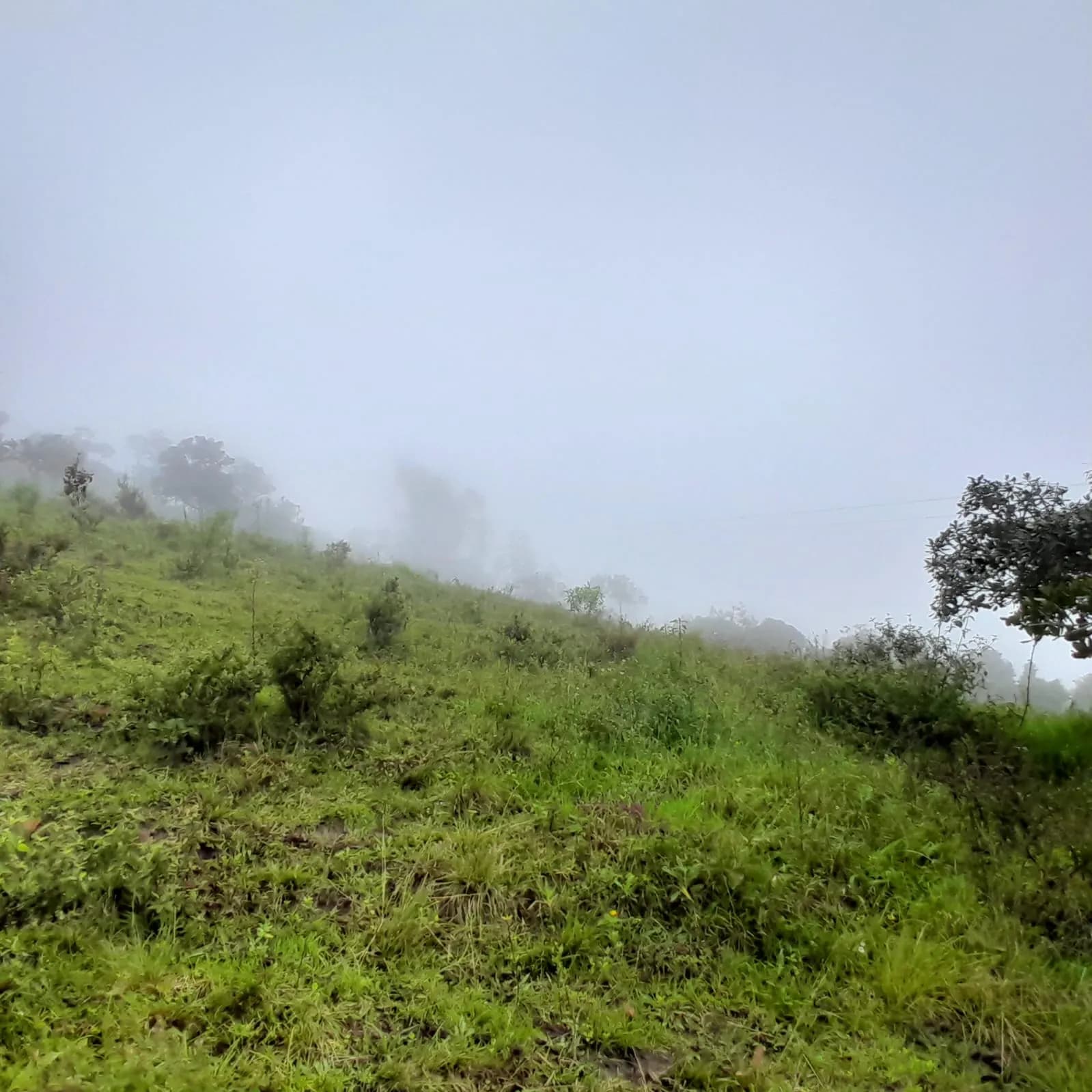 vendo Finca Choachi, Vereda el Hato. - 1