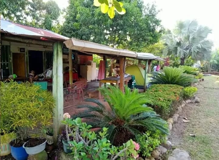 Vendo lote 1500 m2 carmen de apicala - 1