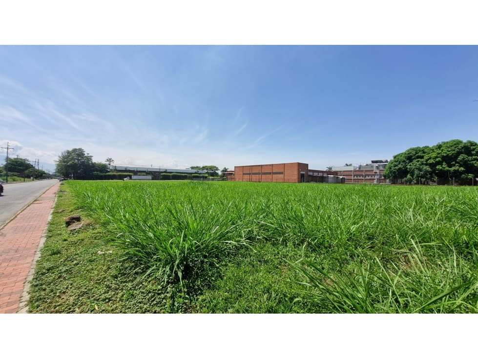 VENTA LOTE 10000 MT2 EN ZONA FRANCA CAUCA CAUCA - 1