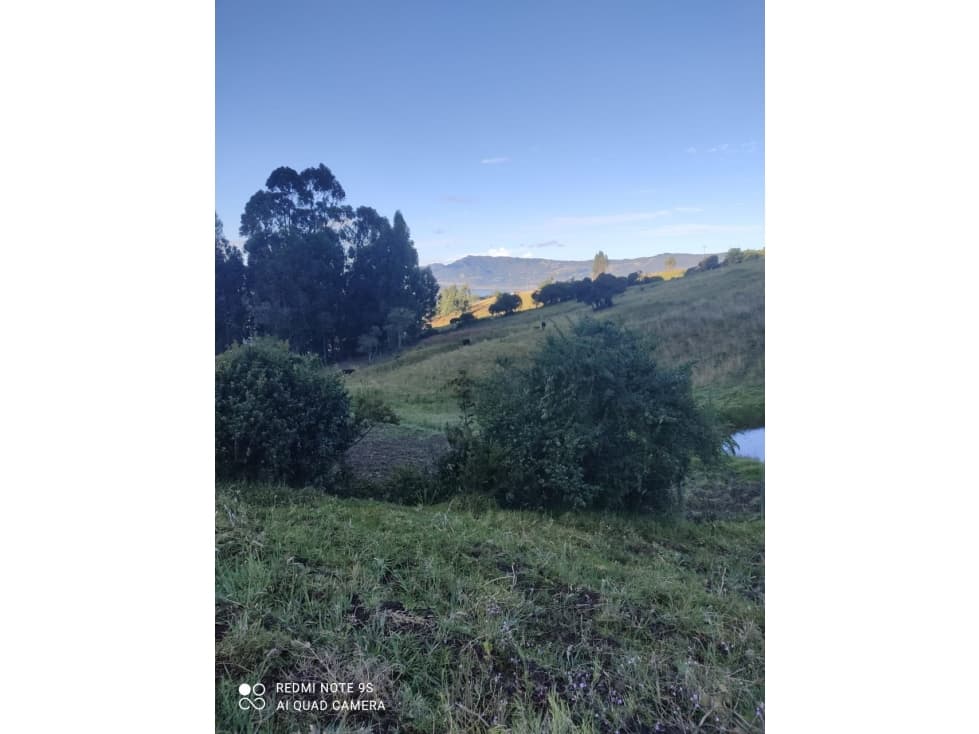SE VENDE HERMSO LOTE 8000 MTRS V. CHALECHE GUATAVITA GG> - 1