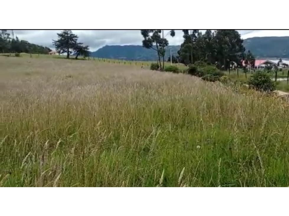 SE VENDE LOTE EN LA VEREDA MONTECILLO 6080mtrs2 GUATAVITA - 1