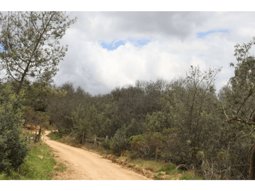 LOTE VEREDA TOMINE, GUATAVITA - 1