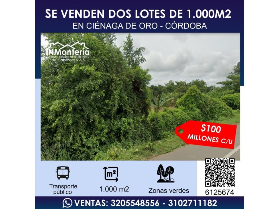 SE VENDEN DOS LOTES EN CIENAGA DE ORO EN CORDOBA - 1