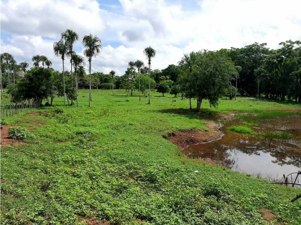 20 Hectáreas en San Isidro (vía Tierralta)-Cordoba - 1