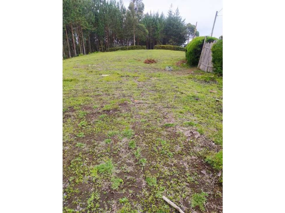 Espectacular Lote en Santa Barbara Rionegro - 1