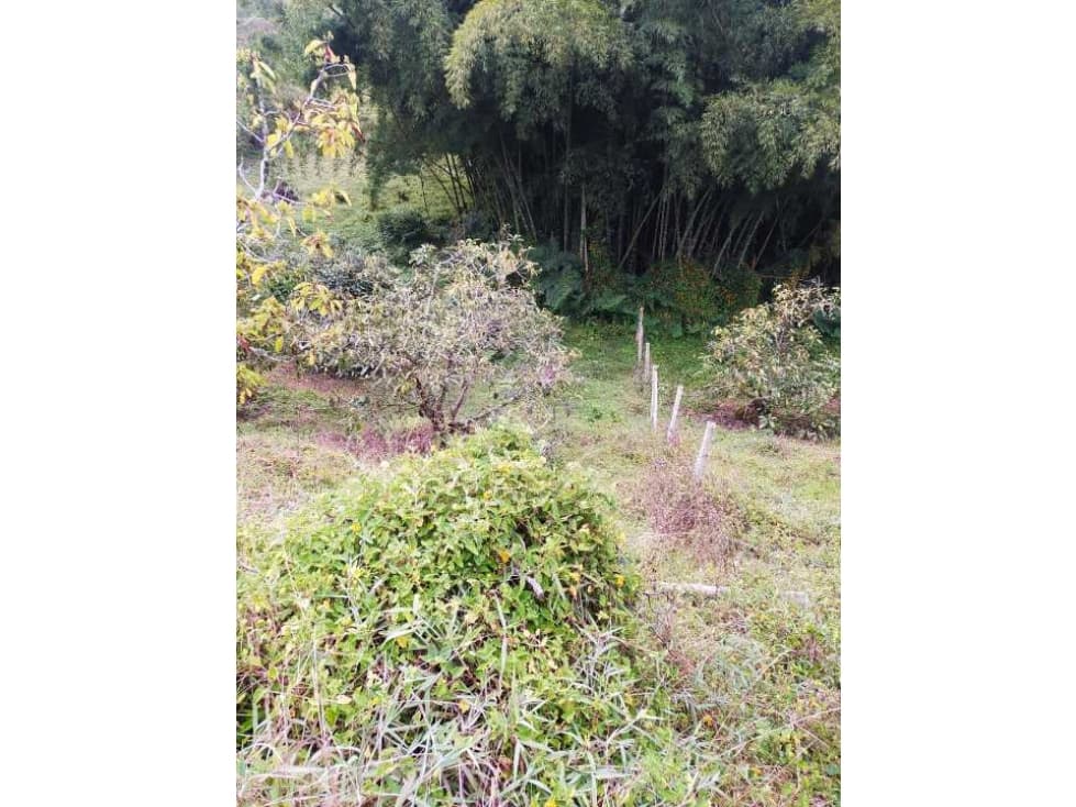 Espectacular Lote en Vereda Santa Barbara Rionegro - 1