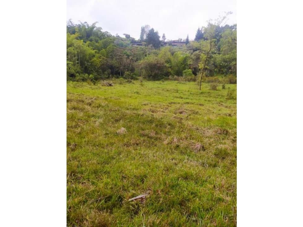 Espectacular Lote en Vereda Santa Barbara Rionegro - 1