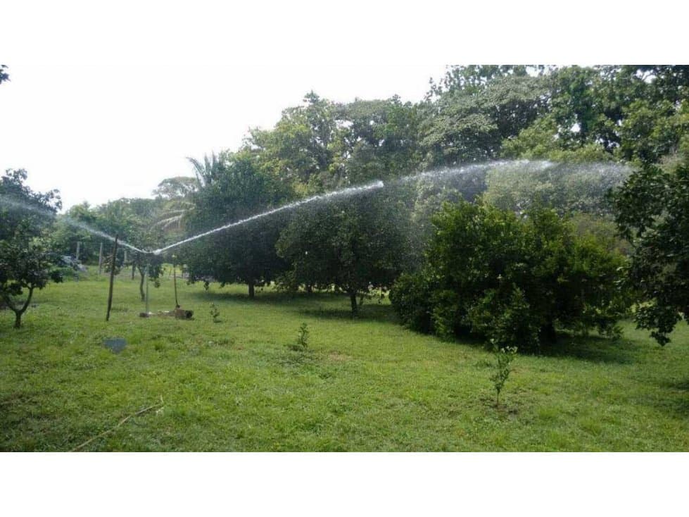 Finca de 276 hectáreas bien organizada a 30 minutos de fundacion 011 - 1