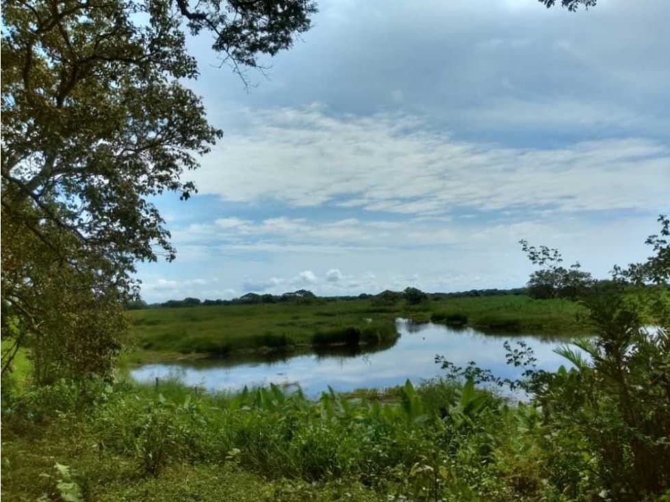 Finca de 60 hectáreas por pivijay 011 - 1