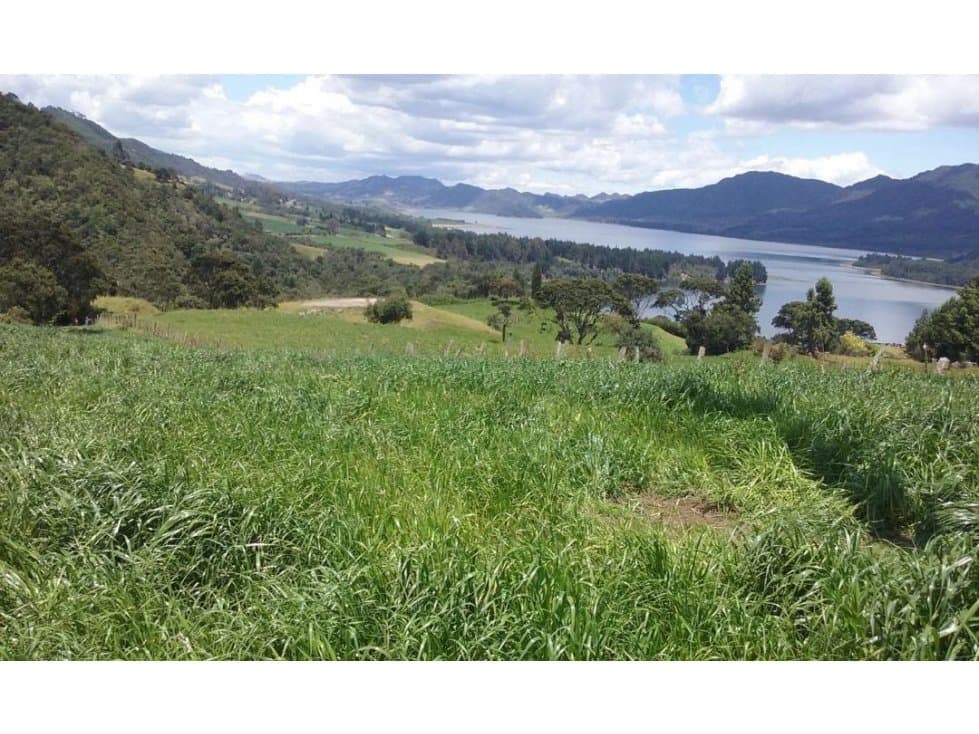 Finca en venta de 53 hectáreas ubicada en cogua cundinamarca - 1