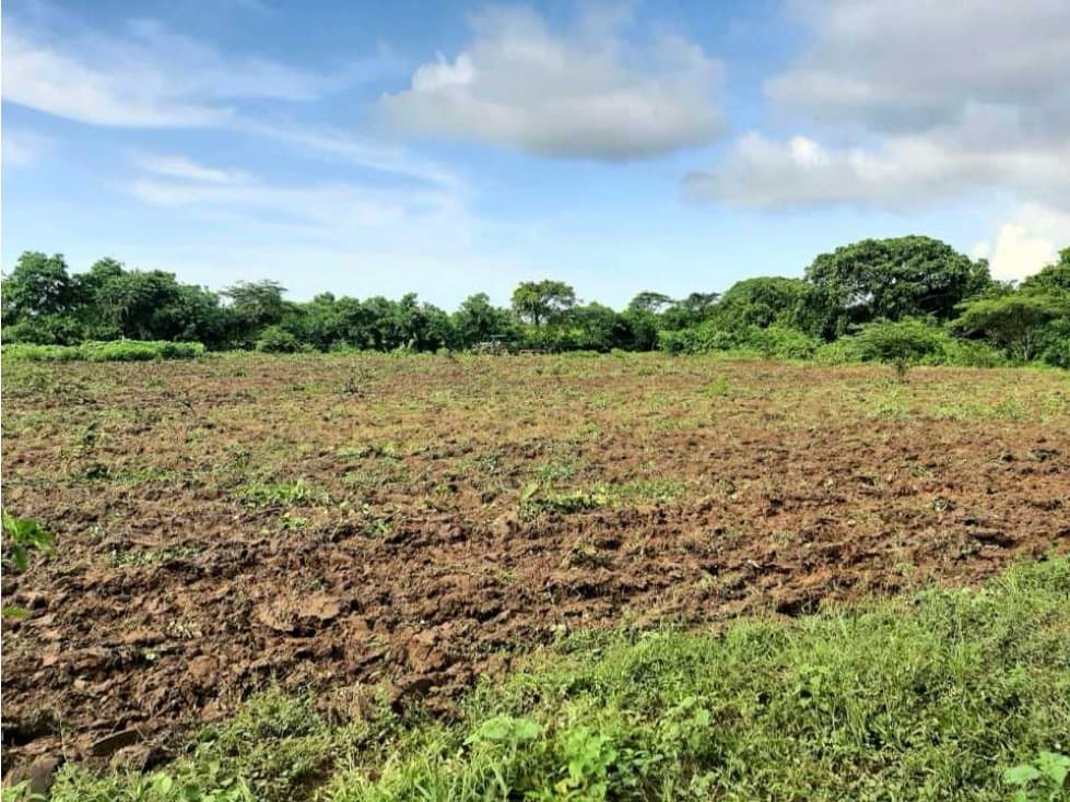 Finca Ganadera - Agricola 23 Hectareas - 1