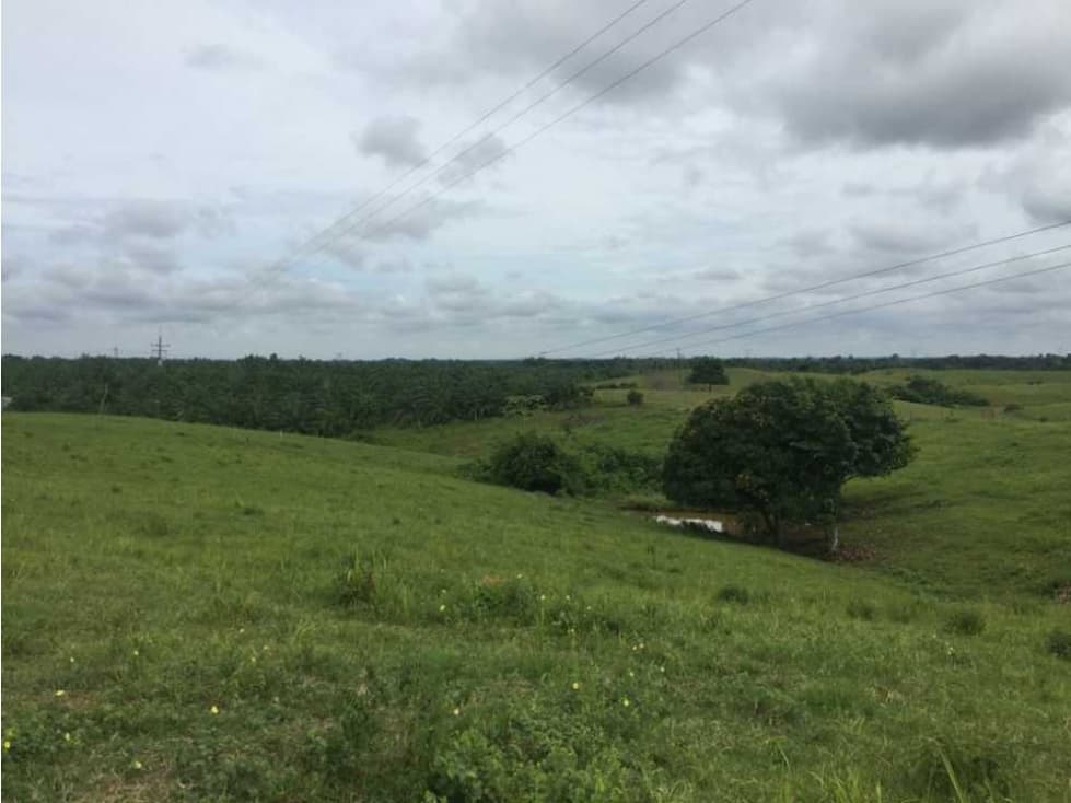 Finca ganadera en venta Barrancabermeja - 1