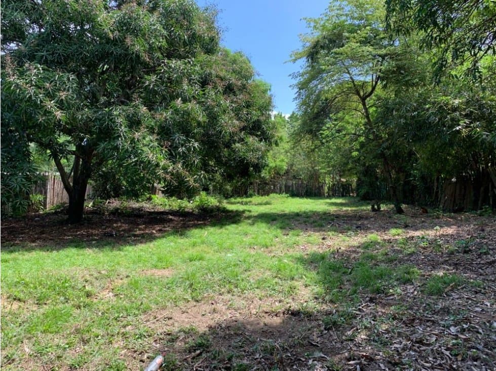 Lote Amplio en palomino ideal para construir - 1