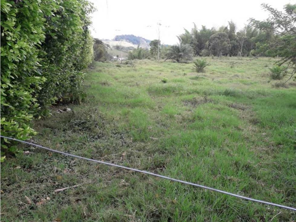 Lote Campestre Las Margaritas Arauca Caldas - 1