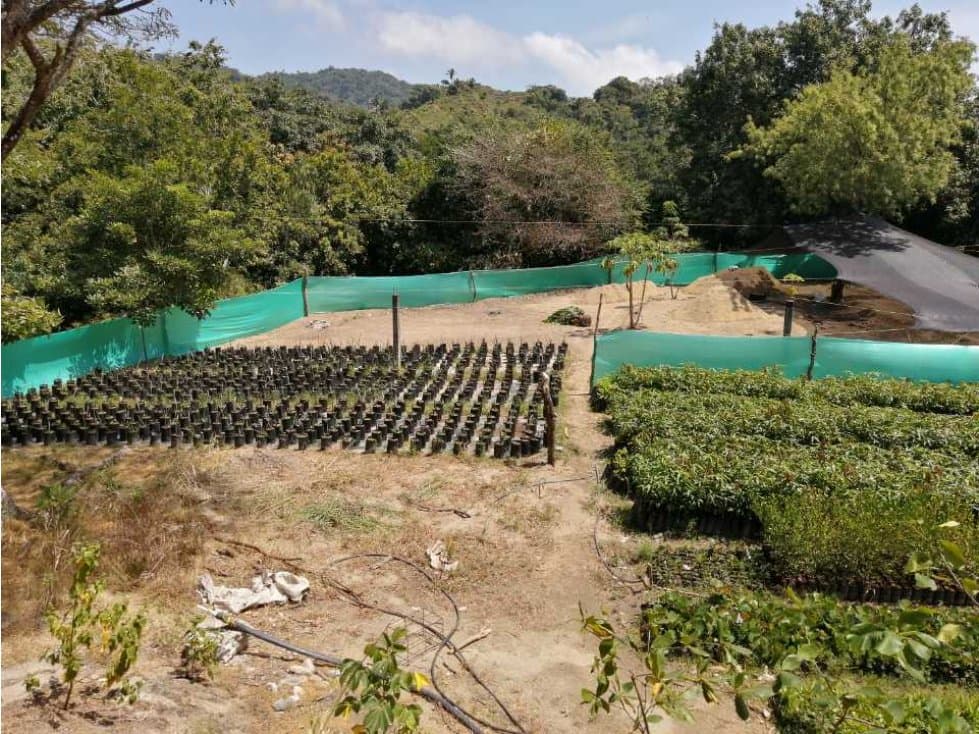 Lote en venta calabazo 2381 m2 sector parque tayrona - 1