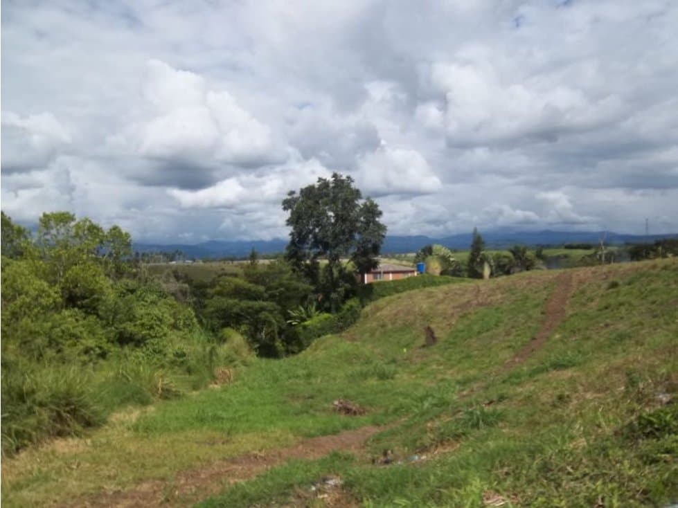 Lote Parcelación Las Margaritas Cambia Caldas - 1