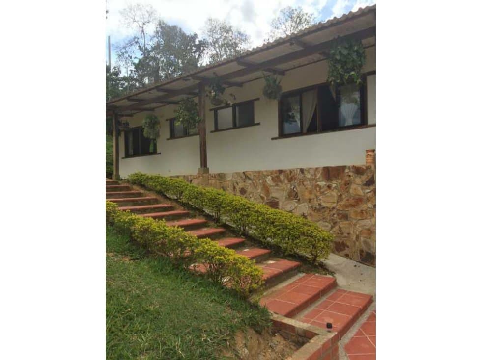 Oportunidad FINCA con café en CURITI . 12.000 Mtrs. YG - 1