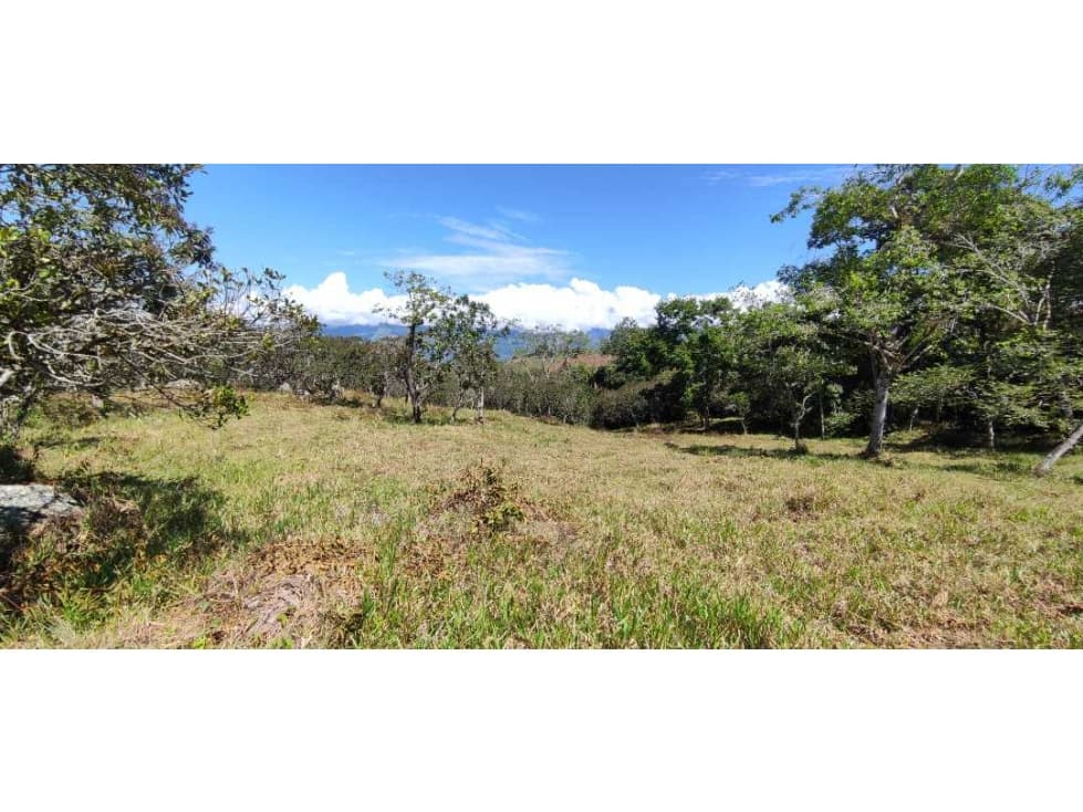 Se vende finca 2.5 Hectáreas En Bariri - 1